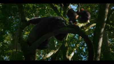 Carson already has two children. - Chimp Empire