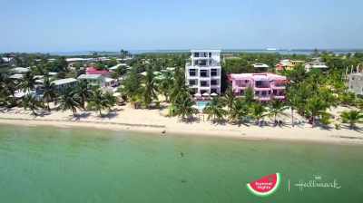 (cart engine starts up) - Caribbean Summer