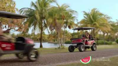 (cart honking) - Caribbean Summer