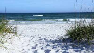 CASSANDRA WALLER: It’s a
beautiful place, - Killer Cases