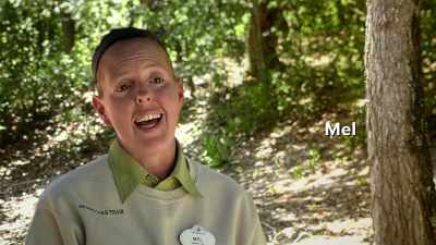 Cassanova's a great bird.
I love working with him - Magic of Disney's Animal Kingdom