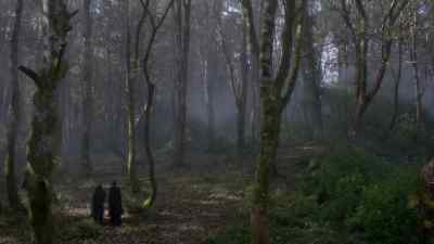 Casting the tarot is a gift. - Penny Dreadful