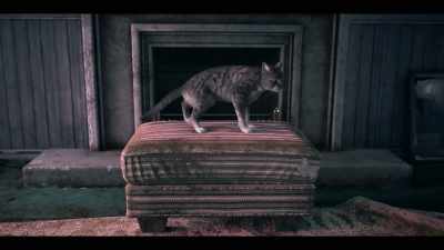 [cat growls] - Love & Death