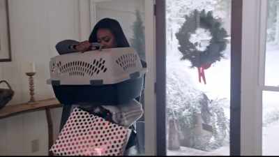 [cat meowing] - Christmas Everlasting