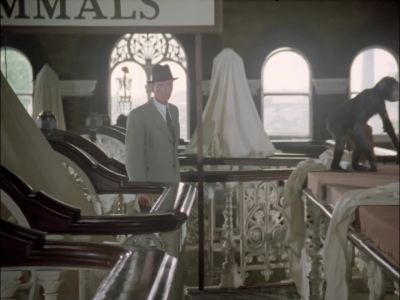 (cat purring) - Agatha Christie's Poirot