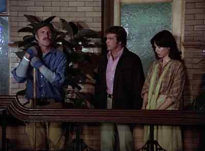 (CAT SHRIEKS) - The Six Million Dollar Man