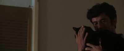 (cat yowls)
It's okay. - 8 Days to Hell