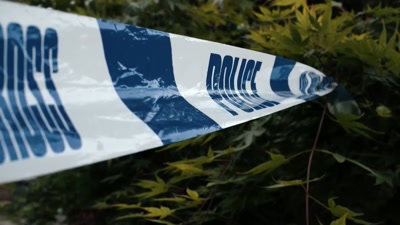 Catastrophic head injuries,
worst I've ever seen. - Killers: Caught on Camera