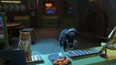 - Catch you kids on the flippity-flop.
- Stellar effort, Ed. - Cats & Dogs 3: Paws Unite