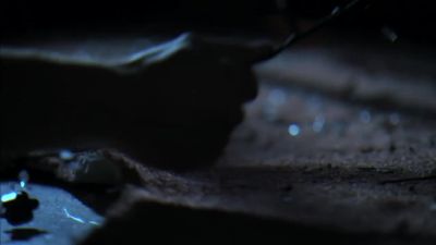Catch! - CSI: Miami