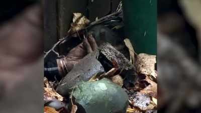 ‐Catching a neighbor
encroaching upon our property - Neighborhood Wars