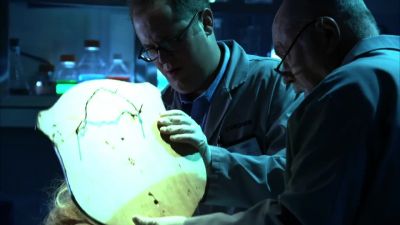 Catherine...check this out. - CSI: Crime Scene Investigation