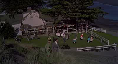 Cathy, that's very good. - The Birds