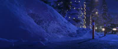 Cats and lights. - Zootopia 2