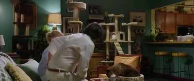 (CATS MEOWING AND PURRING) - How to Be a Latin Lover