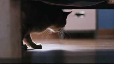 [cat's tail thumping] - Christmas Everlasting