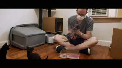 Cats teach me patience over
and over and over again. - Cat Daddies