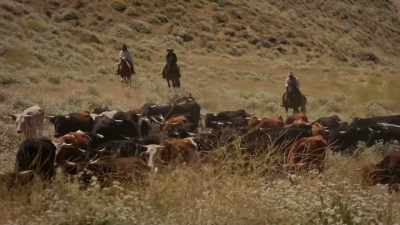 [CATTLE LOWING] - Elkhorn