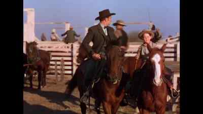 Cattle is sure some business. - Dodge City