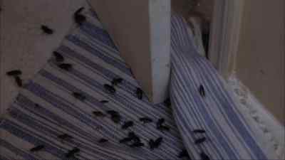 - Caught.
- All right. - The Nest