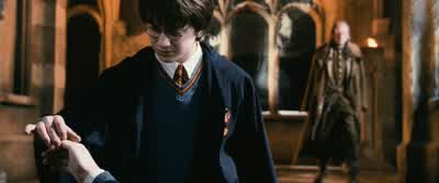 Caught in the act. - Harry Potter and the Chamber of Secrets