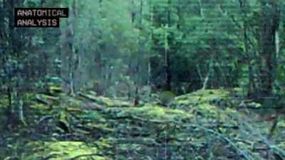 caught-on-low-resolution-surveillance-cams - Strange Evidence