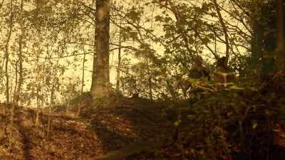 'Cause all those things
that you love, - The Passage