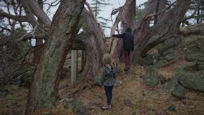 'Cause you can see why
this tree is almost dead. - Trees and Other Entanglements