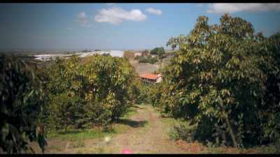♪ 'Cause my home is where
My food is grown ♪ - Kiss the Ground