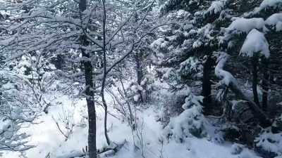 'Cause it is something else. - Alone: Frozen