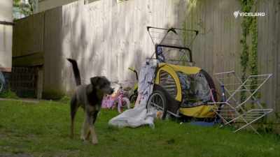 'Cause it is that exposure
to the natural bacteria - Stacey Dooley Sleeps Over