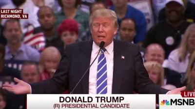 'Cause this maniac that
was standing on her right - Trump: The Art of the Insult