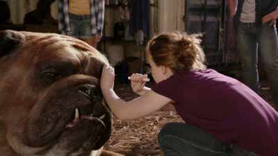 'Cause suddenly,
you're an expert on love. - Marvel's Inhumans