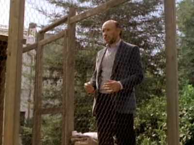 'Cause if these years
are gonna be golden, - Matlock
