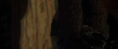 'Cause this time,
he'll be killing their fathers, - Candyman