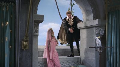 Caution is for popinjays and cockatoos - The Court Jester