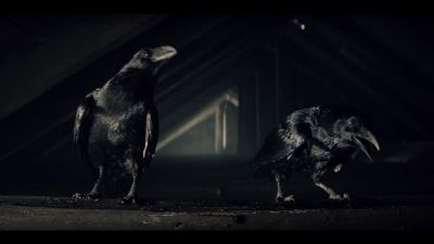[cawing] - The Witcher