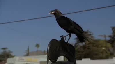 KID 1: Oh, yeah. - The Mentalist