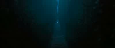 CEDRIC: Get down! - Harry Potter and the Goblet of Fire