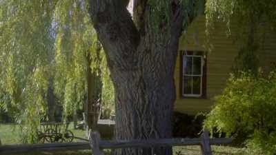Celia, there is men
here with needy wives - Blood and Fury: America's Civil War