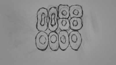 Cell division, which is
meant to be coordination - The Wisdom of Trauma