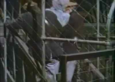 -[cell door shuts]
-[man] Hey, look. - The Learning Tree