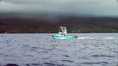 [cell phone ringing] - Deadliest Catch: Bloodline