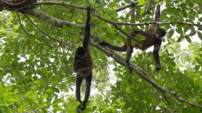 [ Cellphone chimes ]
Well, what do you know ‐‐ - When Nature Calls with Helen Mirren