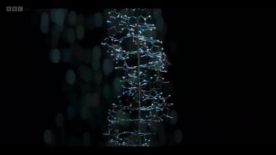 Cells couldn't
multiply without this, - Cunk on Life