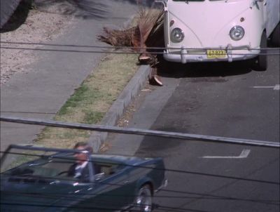 CENTRAL, CHIN HO KELLY, FIVE-O.
RED ALERT. - Hawaii Five-0