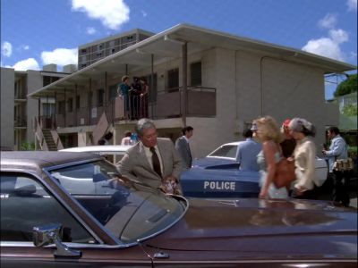 CENTRAL, THIS IS LUKELA.
PATCH ME THROUGH TO McGARRETT. - Hawaii Five-O
