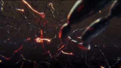 Certain key brain circuits
that have to do with - The Wisdom of Trauma