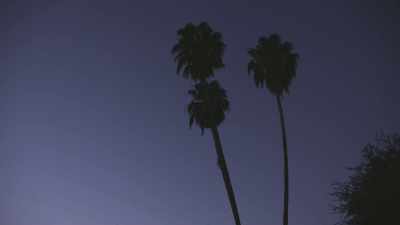 Certain things happened, - It’s Quieter in the Twilight