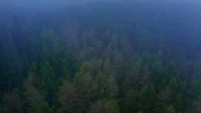 Certainly from our perspective, - Murder in the Badlands
